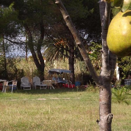 Pefka Studios & Apartments Chalkidiki 외부 사진