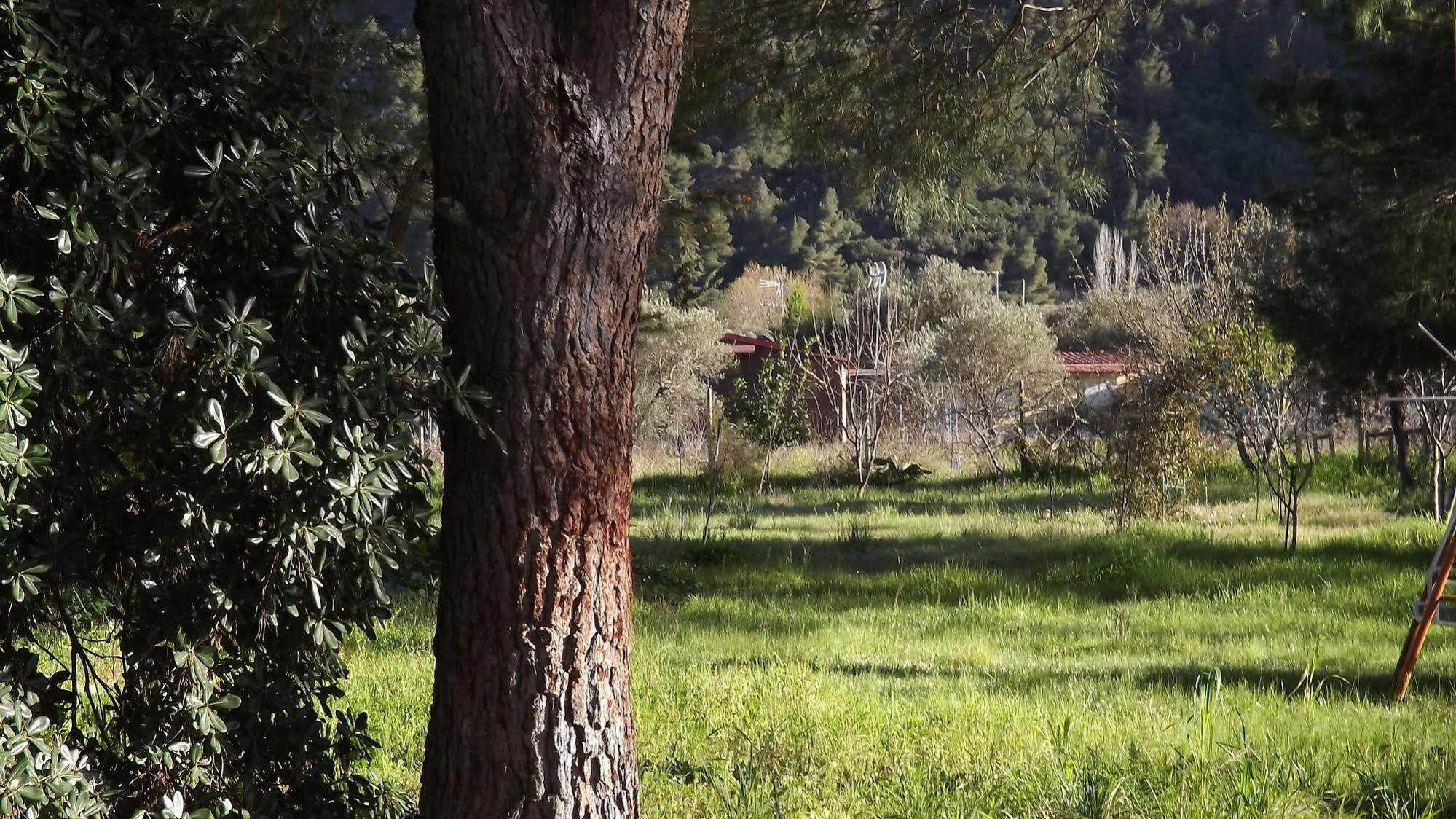 Pefka Studios & Apartments Chalkidiki 외부 사진